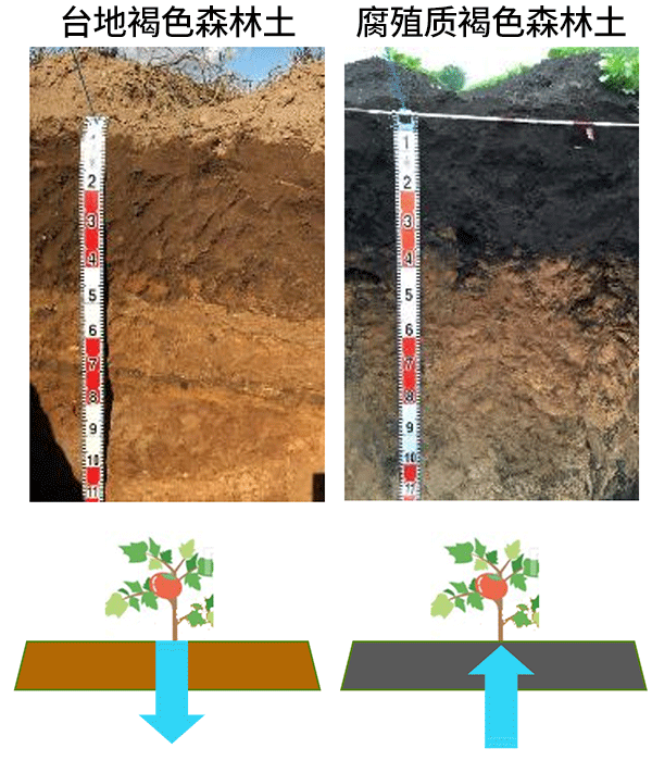 多种土性的不同保水能力示例图片1
