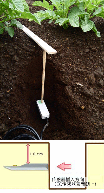 传感器插入方向（EC传感器表面朝上）图片