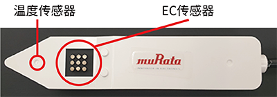 顶面图片
